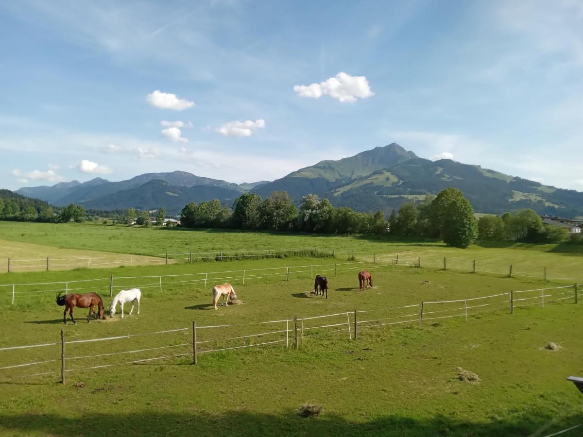 Apartment-Pension Schmiedererhof St. Johann in Tirol Exterior foto